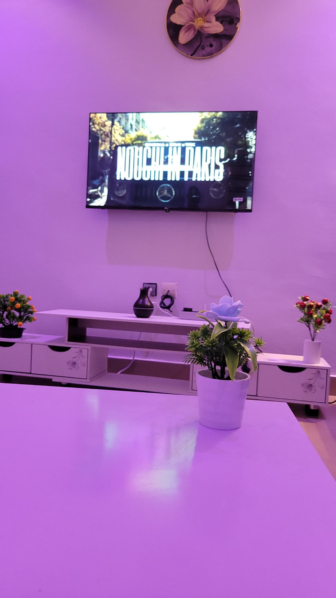 Coin télévision avec meuble et plantes décoratives
